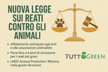 reati contro gli animali