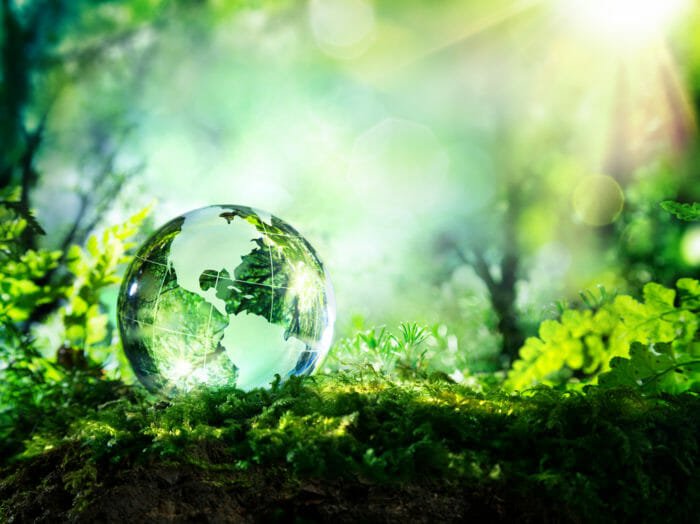giornata mondiale dell'ambiente