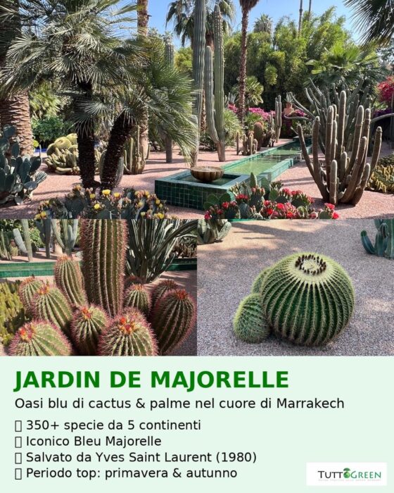 Jardin de Majorelle