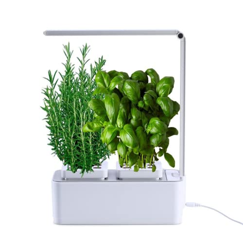 amzWOW Clizia Smart Garden - Serra idroponica per Piante, Vaso Intelligente, Grow Box - Orto da Interno 100% Bio - Coltiva Le Erbe aromatiche- Timer Automatico, Luce LED Inclusa (Bianco)