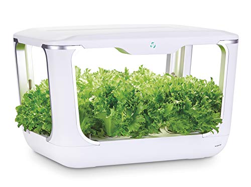 Serra idroponica Green Farm, sistema coltivazione idroponico per erbe aromatiche, piante, fiori con lampada LED, incluso kit soluzioni nutritive e semi, crea il tuo orto in casa, 60x37,5x42,5cm
