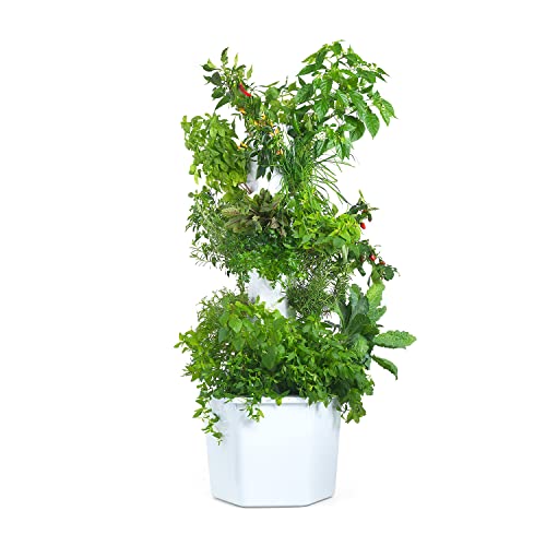 Torre idroponica verticale – aerospring erbe e verdure giardino – Sistema di crescita piante 27