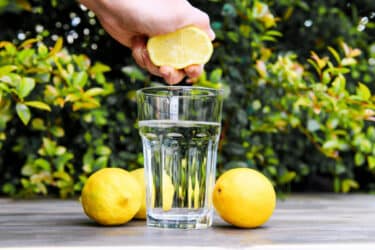 dieta del limone