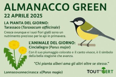 Almanacco Green del 22 Aprile 2025