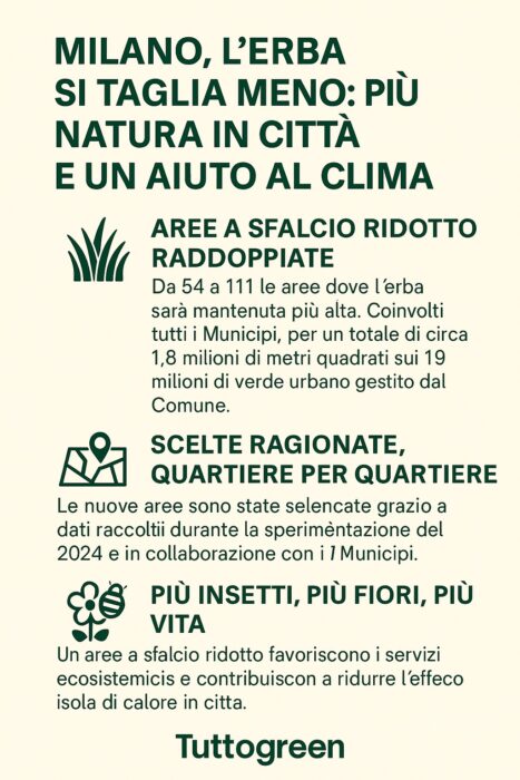 aree a sfalcio ridotto - motivazioni